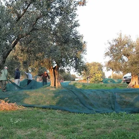 Ξενοδοχείο με διαμερίσματα Antico Casale Tiravento