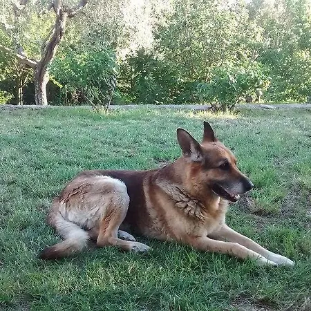 Antico Casale Tiravento Lejlighedshotel