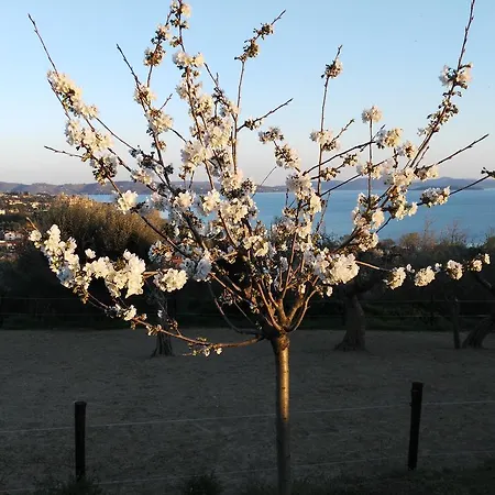 Antico Casale Tiravento Passignano sul Trasimeno