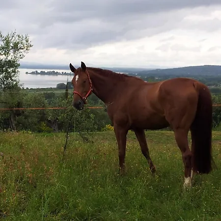 Antico Casale Tiravento 4* Passignano sul Trasimeno