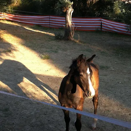 Antico Casale Tiravento 4*