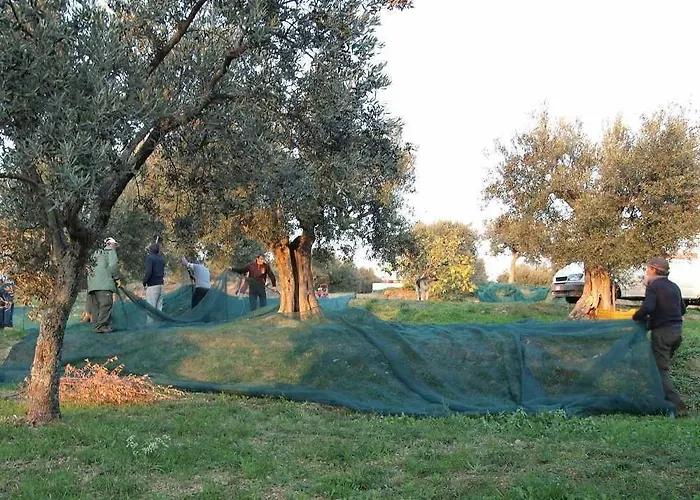 Ξενοδοχείο με διαμερίσματα Antico Casale Tiravento