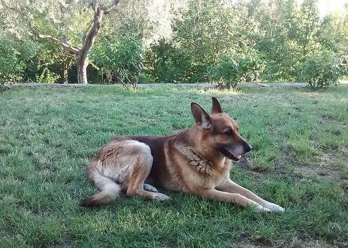 Antico Casale Tiravento شقة فندقية