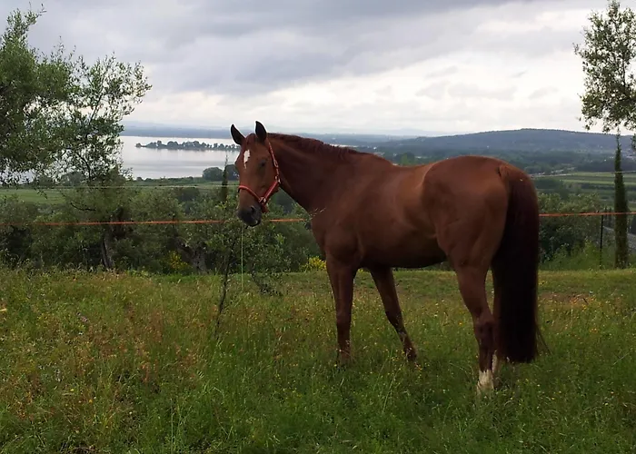 Antico Casale Tiravento 4* باسّينيانو سول تْرازي