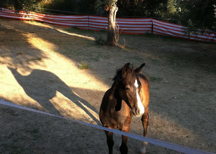 Antico Casale Tiravento 4*